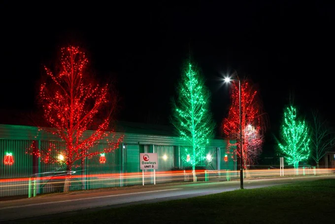 Dawleys Christmas Lights