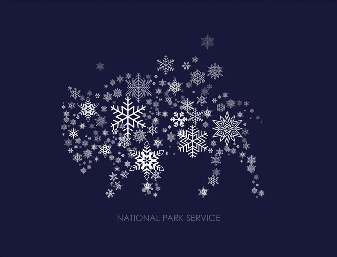 Snowflakes form the shape of a bison