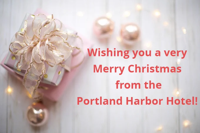pink, christmas, border