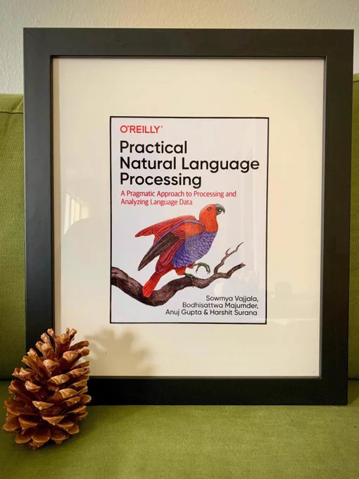 https://www.amazon.com/Practical-Natural-Language-Processing-Pragmatic/dp/1492054054/