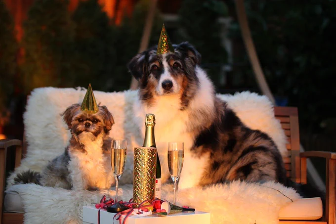 new year's day, new year's eve, new years eve 2015