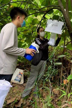 Fieldwork in 2020; Setting up traps to collect adult mosquitos.