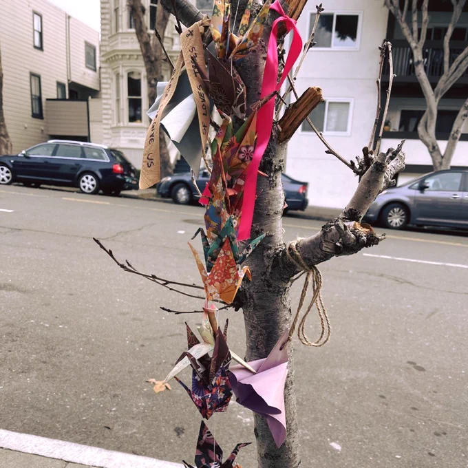 Skinny tree with branches torn, pink ribbon, colorful origami cranes, next to road with parked cars