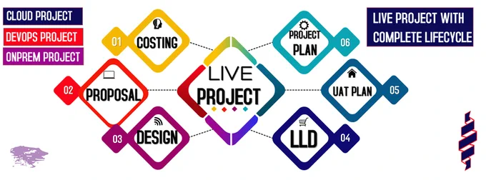 TechPledge Consulting Project Experience Training 