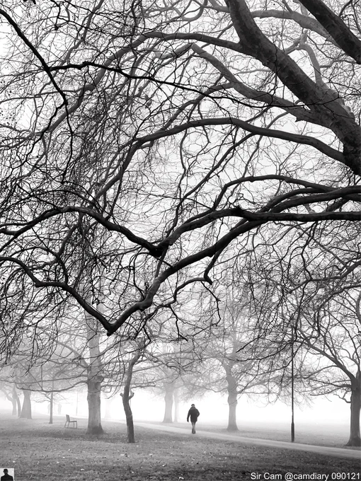 Jesus Green, Cambridge on a foggy day, 9 January 2021.