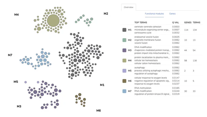 These seven gene clusters were identified using functional module detection, which clusters a provided gene list from predicted tissue-specific interactions, applied to the bronchial epithelial network.