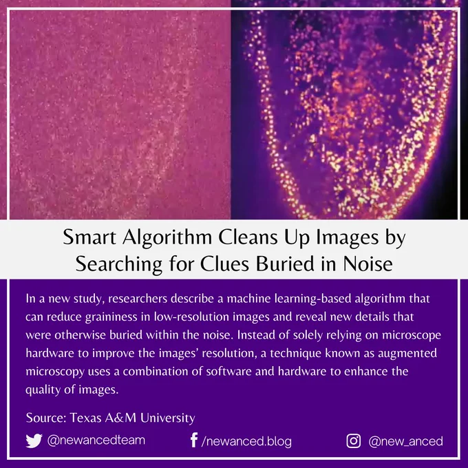 In a new study, researchers describe a machine learning-based algorithm that can reduce graininess in low-resolution images and reveal new details that were otherwise buried within the noise. Instead of solely relying on microscope hardware to improve the images’ resolution, a technique known as augmented microscopy uses a combination of software and hardware to enhance the quality of images.