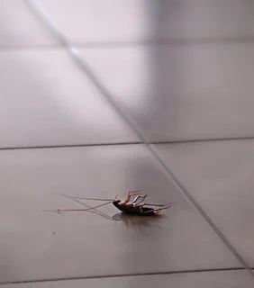 Partix Formulation Technology puts them on their back!
