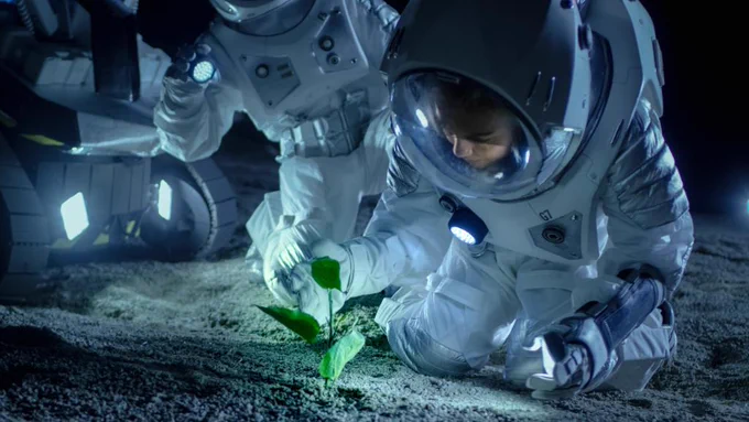 An artist's concept of an astronaut growing a crop on the Moon. 