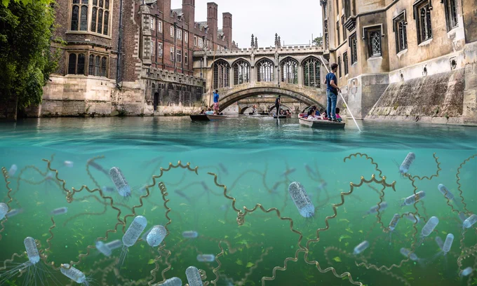 Monitoring dangerous bacteria in freshwater. New study by scientists at Cambridge (UK) and EMBL-EBI shows how a pocket-sized DNA sequencer can be employed to assess water quality. Credit: Spencer Phillips. Photo: Adobe Istock