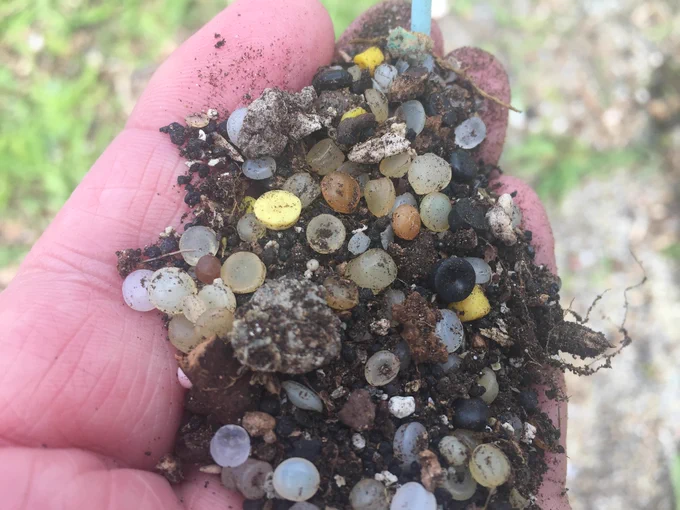 Plastic pellets, nurdles, shown with small stones in hand.