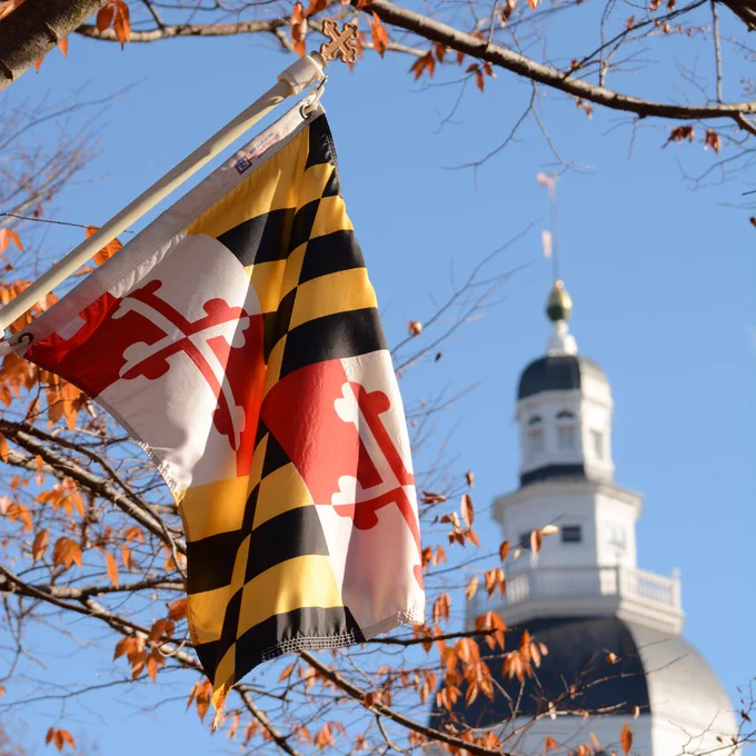 Image of the Maryland flag in the forefront of the picture, with a tree branch directly behind it. In the background is a cloudless blue sky and the dome of the Maryland State House, slightly blurry, and to the right of the image. 
