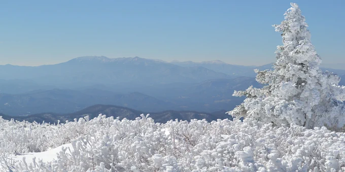 Roan Mountain State Park