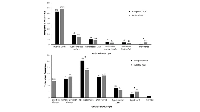 Bar graphs of sex-specific behavior types observed during mating interactions in Isolated and Integrated Pods
