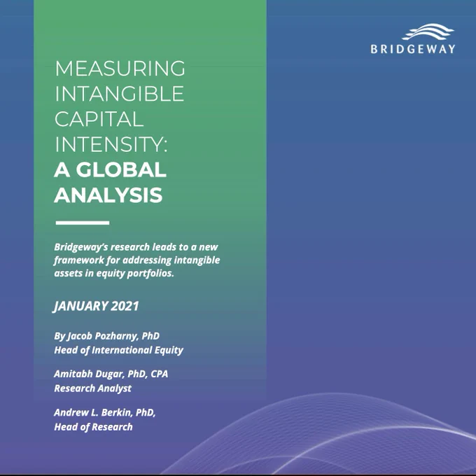 Measuring Intangible Capital Intensity: A Global Analysis