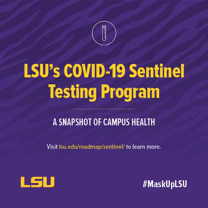 Graphic that says LSU's COVID-19 Sentinel Testing Program A snapshot of campus health Visit lsu.edu/roadmap/sentinel/ to learn more. The LSU logo is in the bottom left and #MaskUpLSU is bottom right.