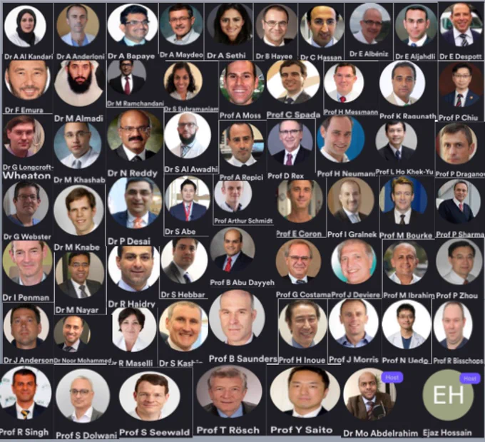 International Experts in Endoscopy