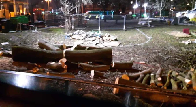 Trees cut down in Euston Square Gardens