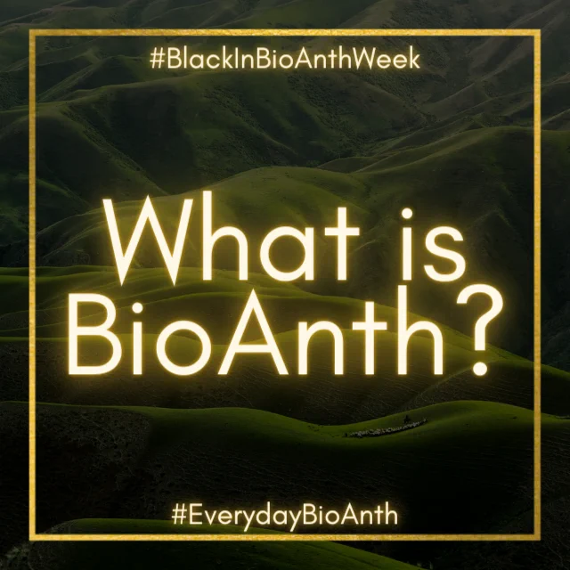 What is BioAnth?