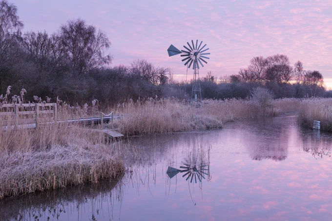The wetlands of Wicken Fen on a frosty morning with the sun rising on the horizon, castling soft pinks across the sky which are reflected in the water below.