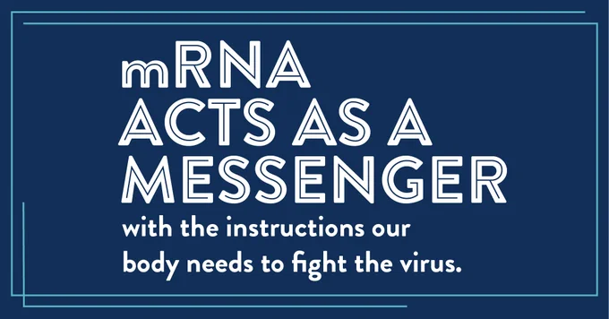 Wording: mRNA acts as a messenger with the instructions our body needs to fight the virus. 