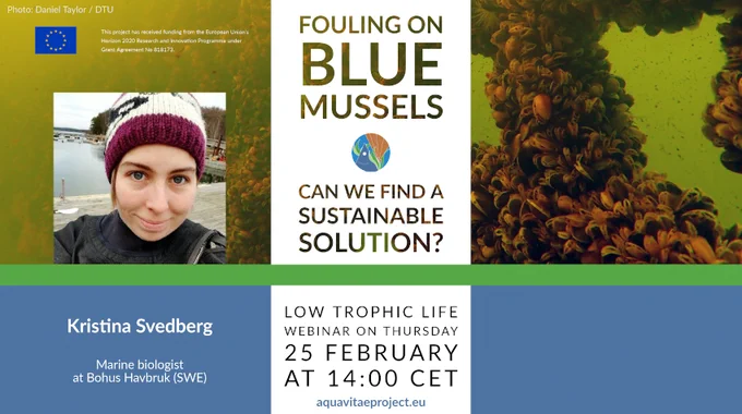 AquaVitae webinar on sustainable solutions for fouling on blue mussels. Kristina Svedberg, Bohus Havbruk. 25 February 21 14 h CET.