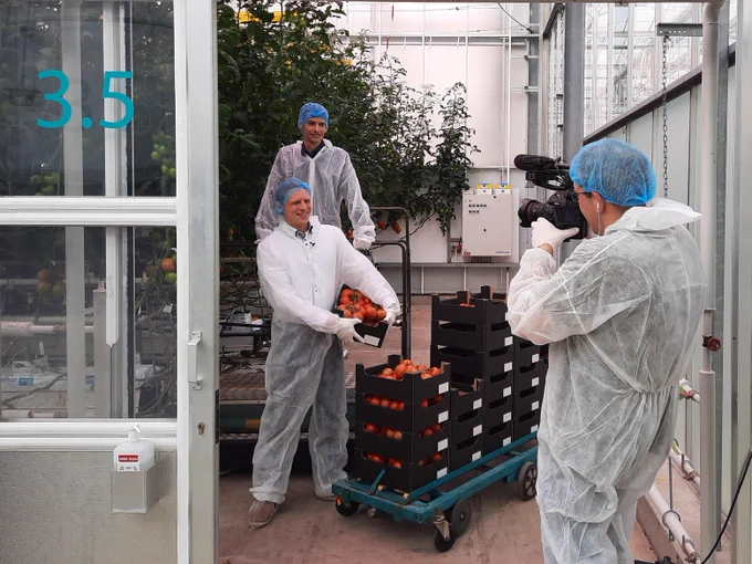 Filming Delphy's contribution for the 2021 Global Tomato Congress with Max van den Hemel en Joris Mulders