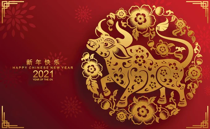 Chinese new year banner - year of the ox 