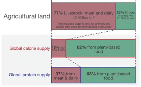 Grafik, die zeigt, dass 77% der weltweiten Landwirtschaftlichen Flächen für Tierhaltung verwendet wird, diese aber nur 18% der benötigten Kalorien für die Weltbevölkerung produziert. 
