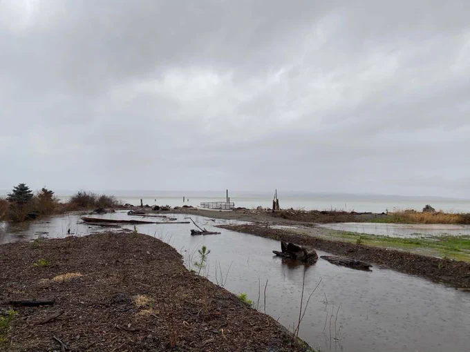 Coastal flooding