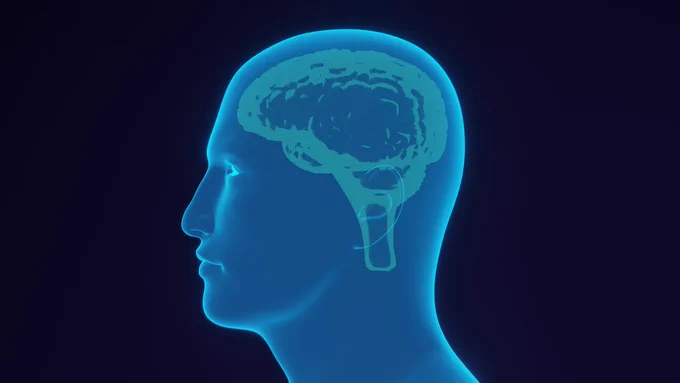 An abstract image of a man's head. His brain is visible inside.