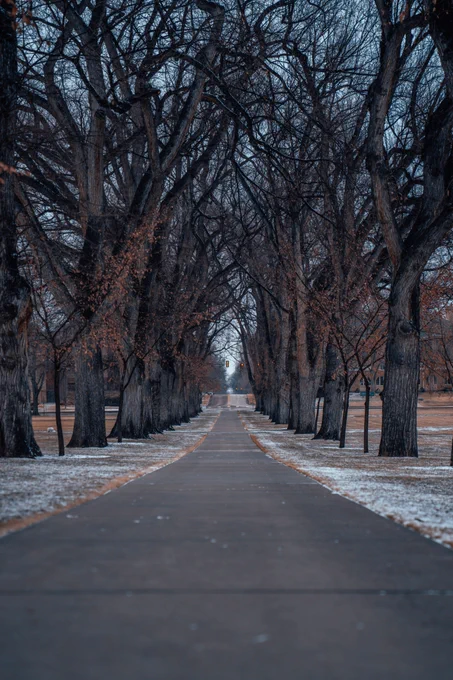 The CSU Oval on a winter day.