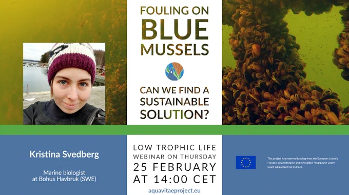 Webinar on #aquaculture: biofouling solutions for blue mussel.