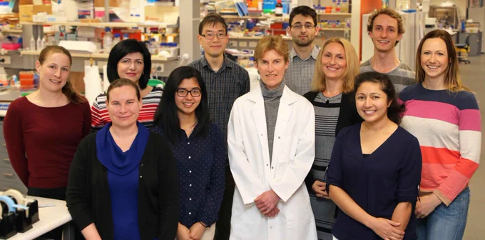 Professor Diane Fatkin and her team from the Victor Chang Cardiac Research Institute