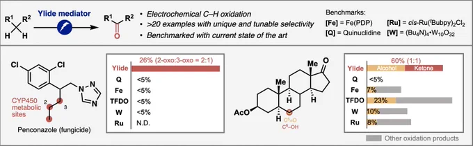 A tunable, modular platform for site-specific C(sp3)–H oxidation
exhibiting broad substrate scope that in many cases is inaccessible to other chemical oxidants, has 5 been developed using an electrochemically driven, N-ammonium ylide scaffold.