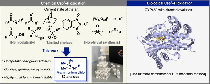 The site-specific oxidation of strong C(sp3)-H bonds is of uncontested utility in organic synthesis. From simplifying access to metabolites and late-stage diversification of lead compounds to truncating retrosynthetic plans, there is a growing need for new reagents and methods for achieving such a transformation in both academic and industrial circles. One main drawback of current chemical reagents is the lack of diversity with regards to structure and reactivity that prevent a combinatorial approach for rapid screening to be employed. In that regard, directed evolution still holds the greatest promise for achieving complex C–H oxidations in a variety of complex settings. Herein we present a rationally designed platform that provides a step towards this challenge using N-ammonium ylides as electrochemically driven oxidants for site-specific, chemoselective C(sp3)–H oxidation. By taking a first-principles approach guided by computation, these new mediators were identified.
