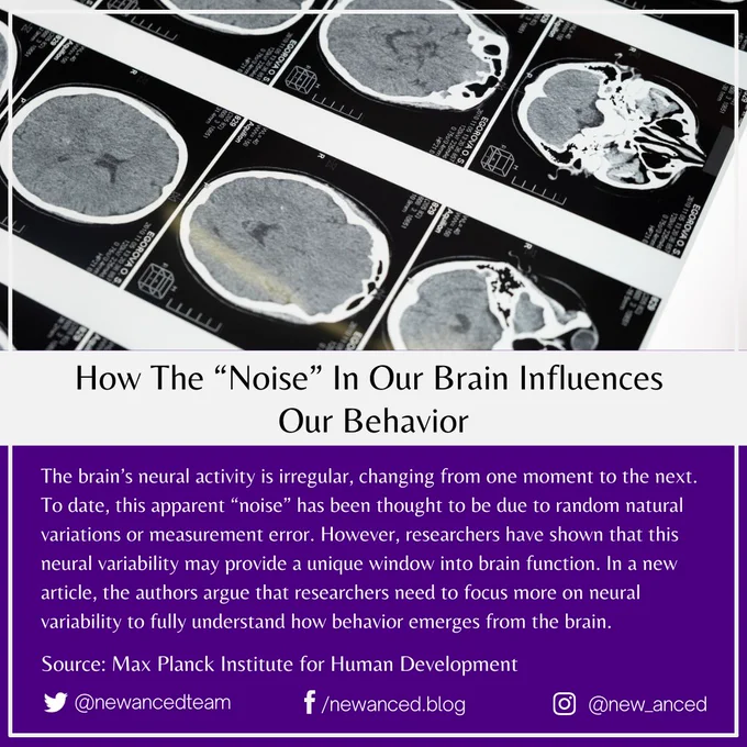 The brain’s neural activity is irregular, changing from one moment to the next. To date, this apparent “noise” has been thought to be due to random natural variations or measurement error. However, researchers have shown that this neural variability may provide a unique window into brain function. In a new article, the authors argue that researchers need to focus more on neural variability to fully understand how behavior emerges from the brain.