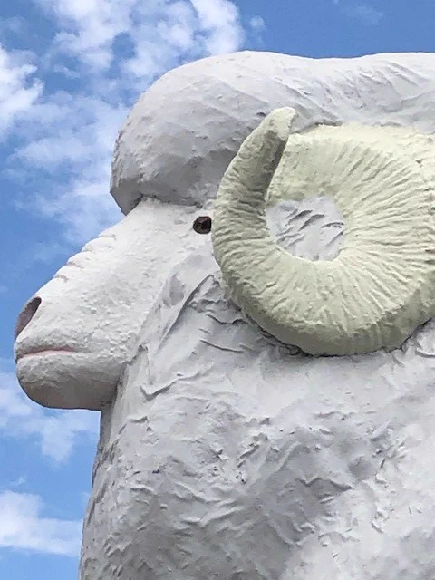 Colour photo of the giant ram in Wagin.