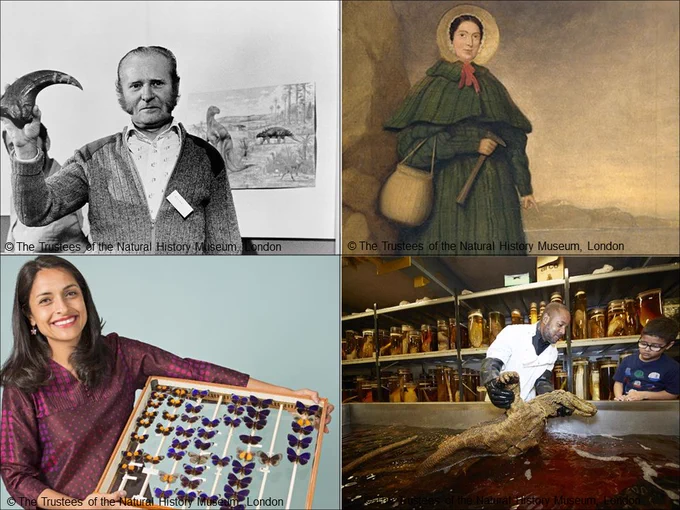 Four scientists starting top left to right - William Walker, Mary Anning, Dr Blanca Huertas and Mr Patrick Campbell.