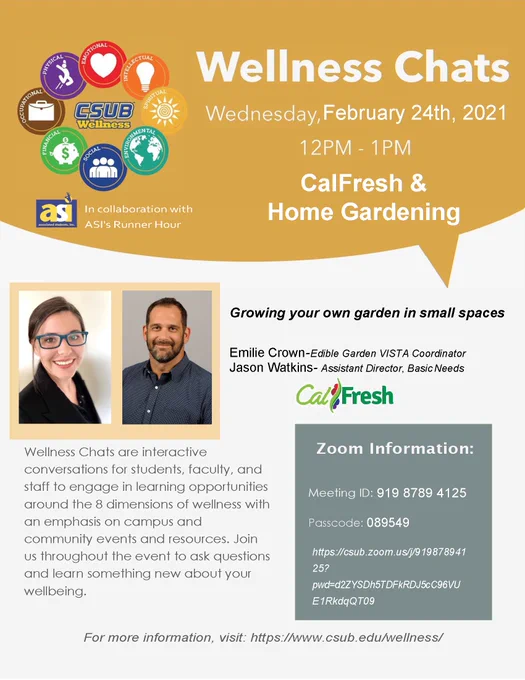 flyer for CSUB wellness chat during Cal Fresh awareness week held virtually. 