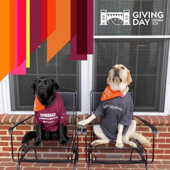 Photo of Wagner and Derek (therapy dogs) wearing VT tshirts (Embrace Ut Prosim and Hokie Wellness) sitting in chairs on an outdoor patio
Maroon and orange stripes of various shades in the left corner, giving day logo in the right corner