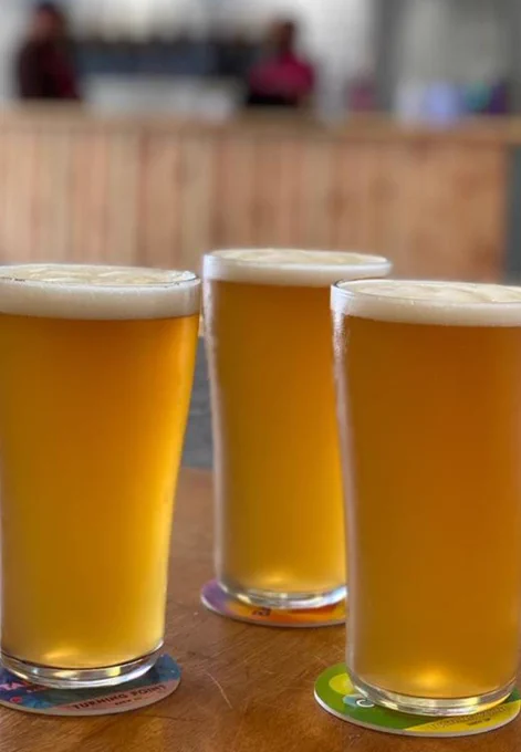 Three pints of pale hazy beer, shining in the sunlight