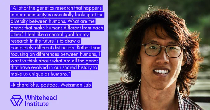 A graphic showing the following quote from Richard She: “A lot of the genetics research that happens in our community is essentially looking at the diversity between humans. What are the genes that make humans different from each other? I feel like a central goal for my research in the future is to draw a completely different distinction. Rather than focusing on differences between humans, I want to think about what are all the genes that have evolved in our shared history to make us unique as humans.”