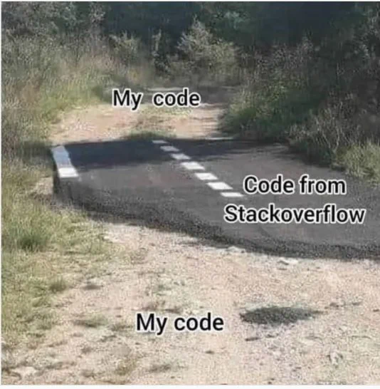 Staubiger Weg in der Wildniss mit einem kleinen Stück von etwas 2 Metern, das sauber geteert ist. 

Text über dem Sandweg: "My Code", Text über dem Teer-Stück: "Code from StackOverflow"