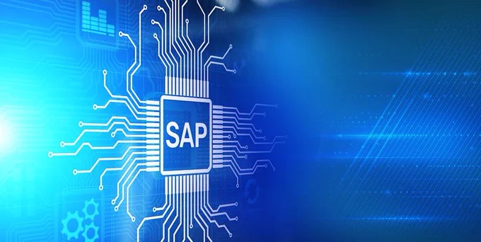 Find out what are the main services delivered by SAP Managed Services players?