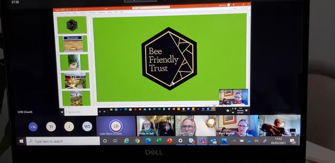Image shows a Teams meeting screen presentation. There is a green background with a back hexagon in the middle which says 'The Bee Friendly Trust' in white writing