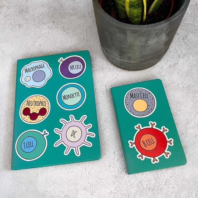 Photo of two notebooks with colour stickers in the shape of different immune cells.