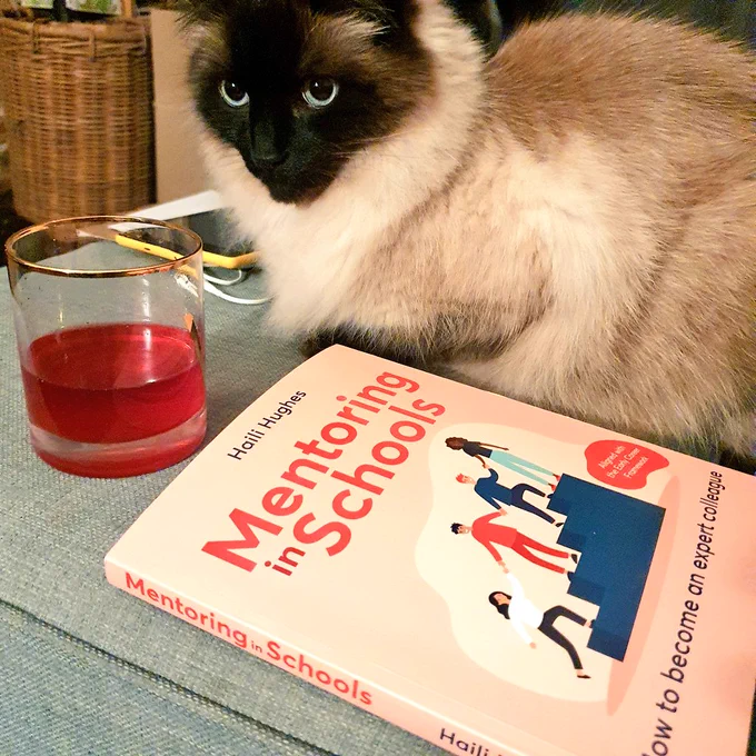 Mentoring in schools book and cat