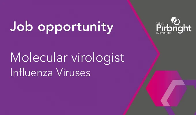Job opportunity at The Pirbright Institute: Molecular virologist