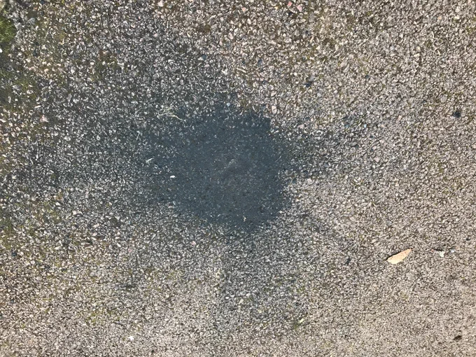 Fine grained powdered debris on a driveway from the meteorite impact. Dent in the middle shows where the main mass of rock sat before collection.